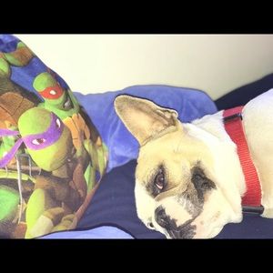 Meet your Posher, Sage